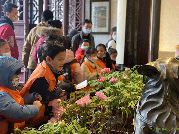 参观梅展.png 参观梅展.png