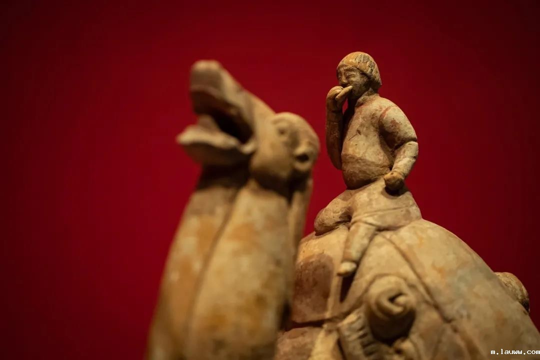 微信图片_20220222155429.jpg 微信图片_20220222155429.jpg